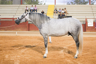 RESUELTO CEN