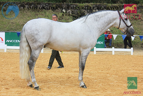 MONTES II