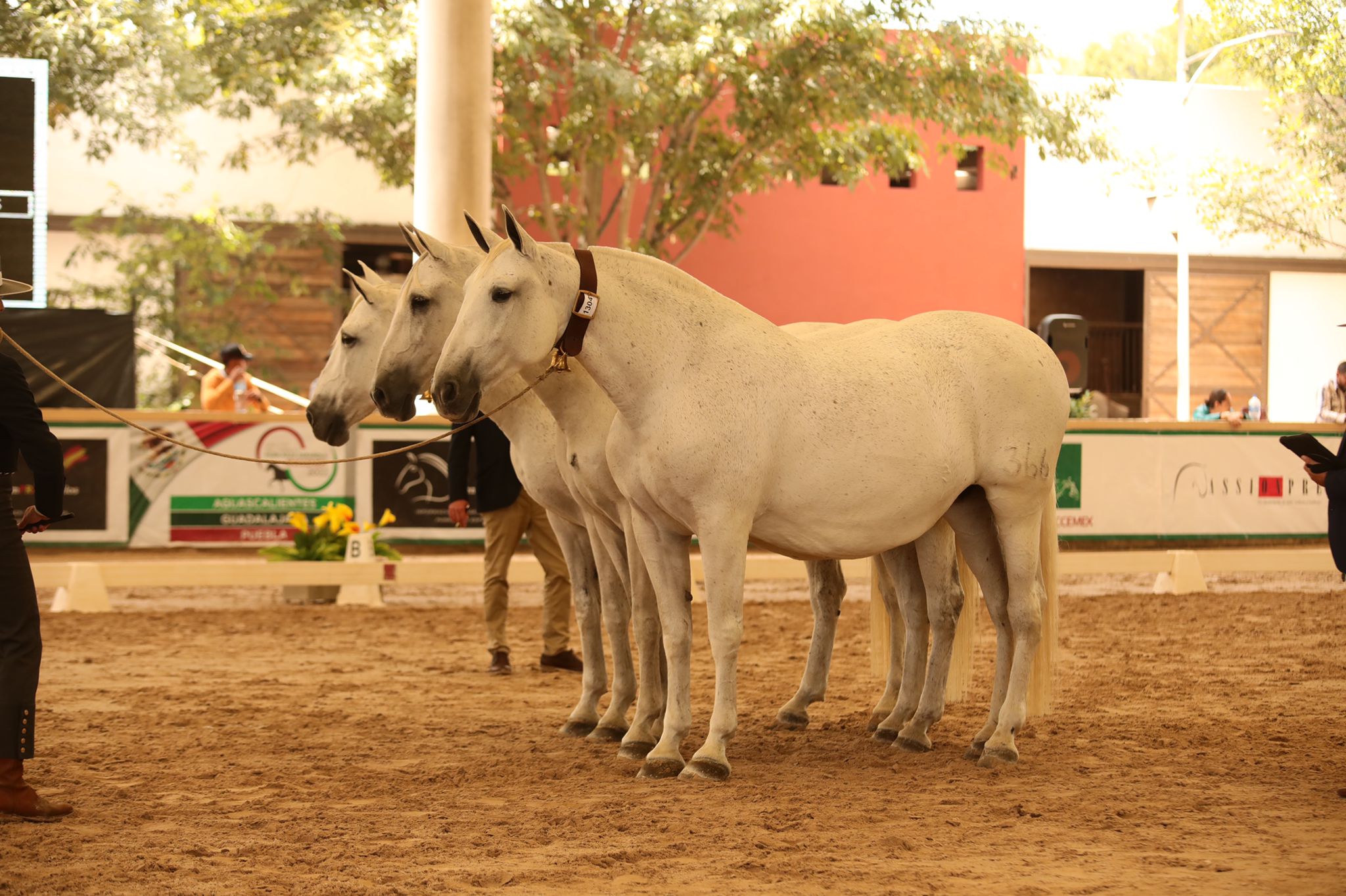 NIÑERA RAM