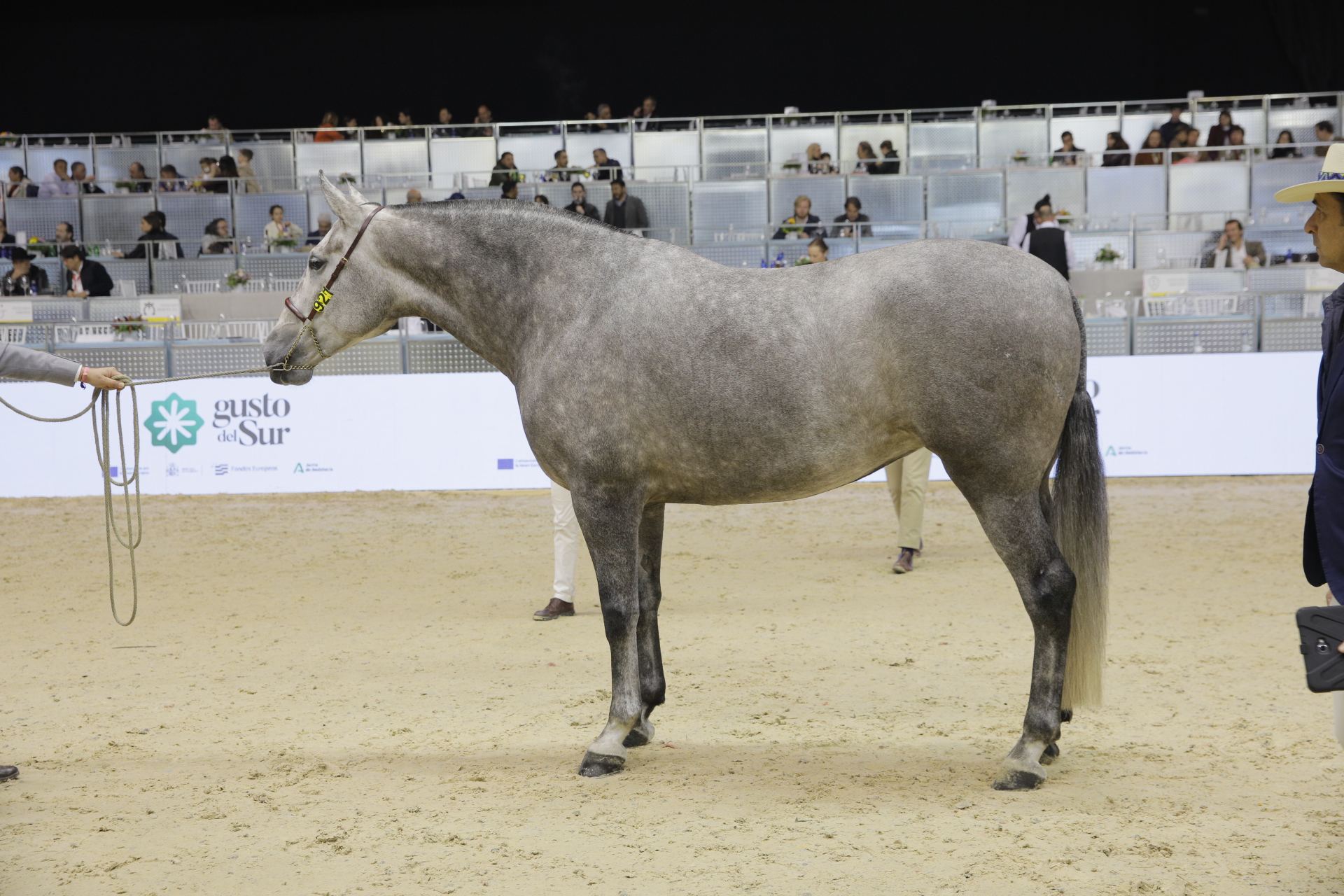 FARINA DE CENTURION